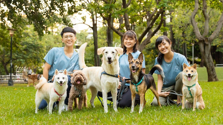 療癒犬不是治療犬？狗狗可以幫忙做心理諮商？台灣這家諮商所這樣運用「動物輔助介入」