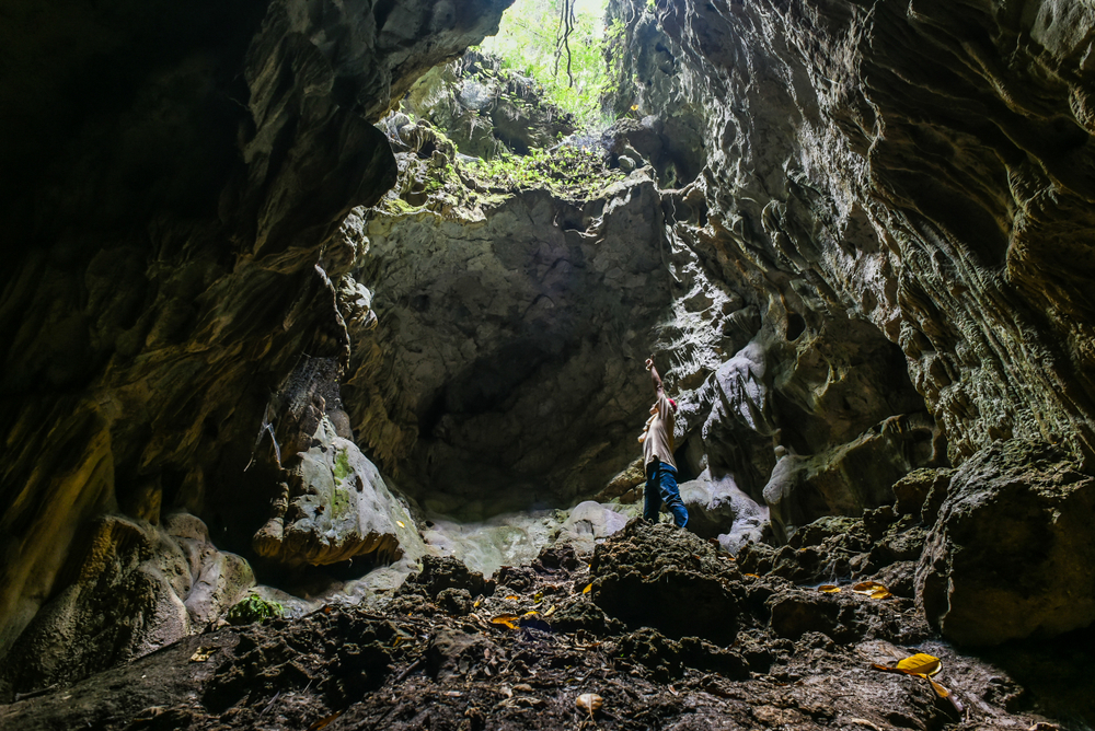 高雄絕美洞穴探險地點！珊瑚礁峭壁、會走路的樹⋯壽山一千種走法的秘境