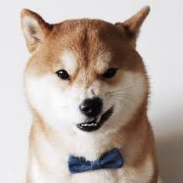 不用Debug的工程師